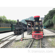 Trains de piste à vapeur à la gare pour la trvaturelle